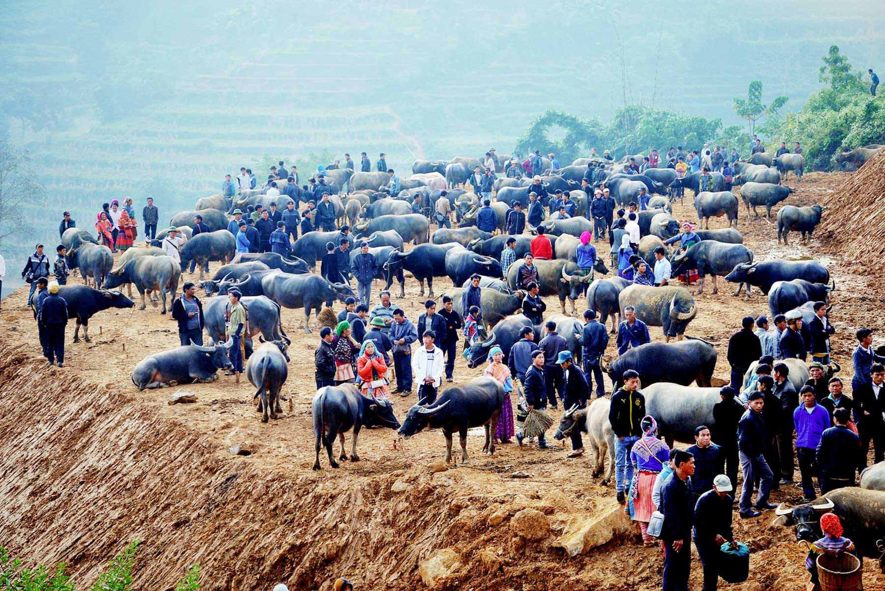 10 dự án trọng tâm Chương trình mục tiêu quốc gia phát triển kinh tế  xã  hội vùng đồng bào dân tộc thiểu số và miền núi giai đoạn I 20212025