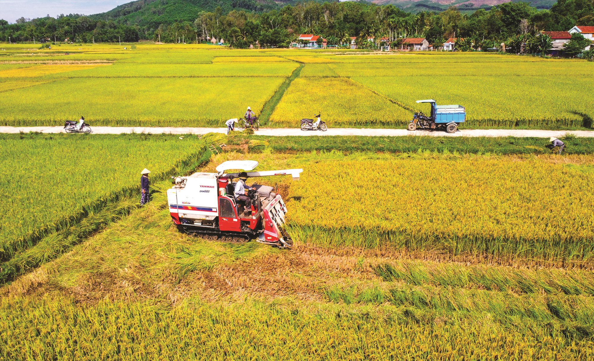 Hướng tới mô hình sản xuất xanh trong nông nghiệp  Tạp chí Tài chính